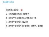 鲁教版九年级下册化学 期末高频考点专训 习题课件
