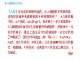 鲁教版九年级下册化学 期末高频考点专训 习题课件