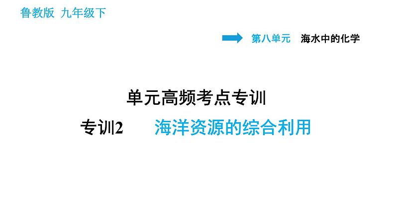 鲁教版九年级下册化学课件 第8单元 单元高频考点专训 专训2 海洋资源的综合利用0第1页