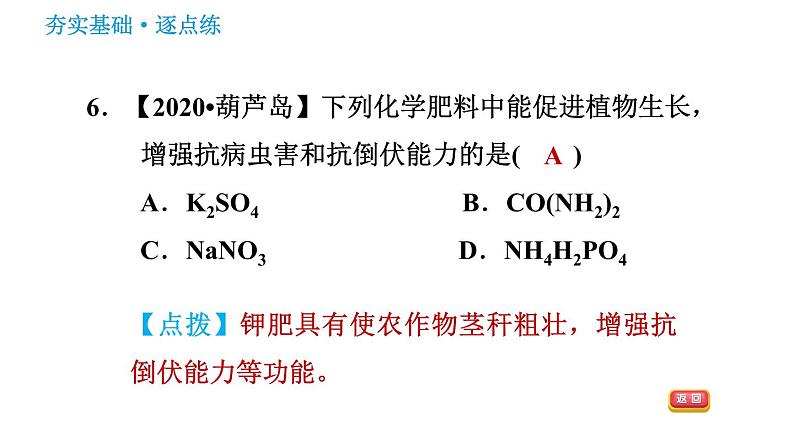 鲁教版九年级下册化学课件 第11单元 11.3 化学与农业生产第8页