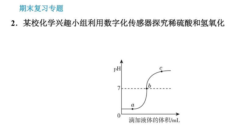 科学版九年级下册化学专题训练 习题课件04