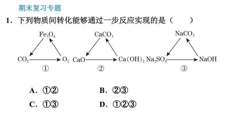 科学版九年级下册化学专题训练 习题课件03