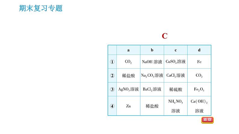 科学版九年级下册化学专题训练 习题课件06