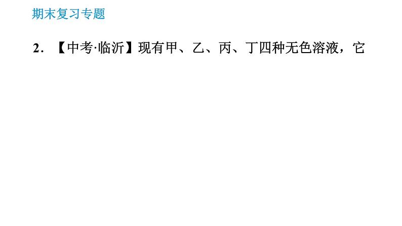 科学版九年级下册化学专题训练 习题课件06