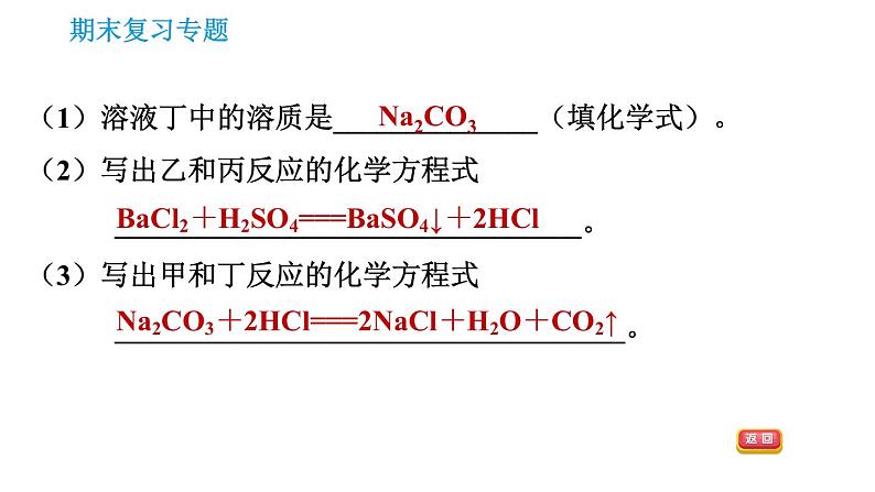 科学版九年级下册化学专题训练 习题课件07