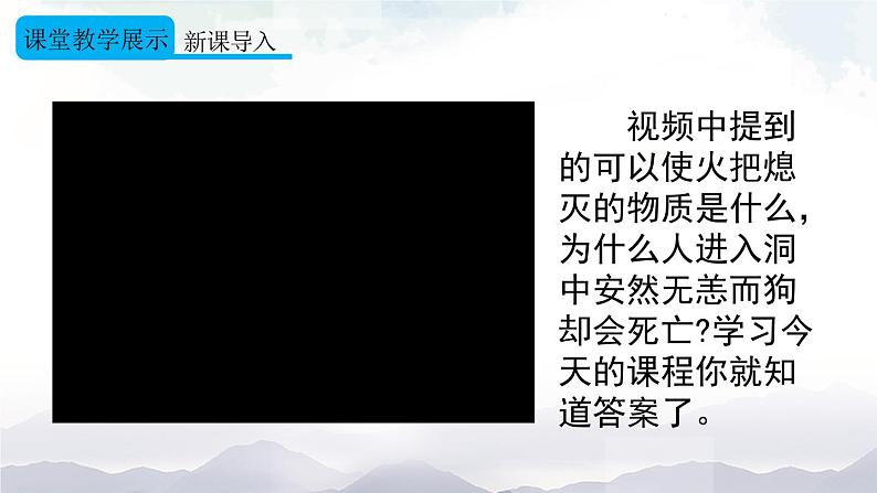 人教版九年级化学上册6.3 二氧化碳和一氧化碳 第1课时 课件教案素材05