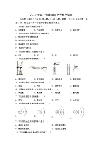 2019年辽宁省沈阳市中考化学试题及答案