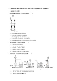 科粤版九年级上册4.2 水的组成课后测评