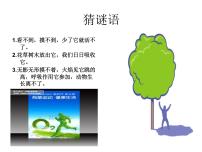 北京课改版九年级上册第三节 氧气的性质公开课ppt课件