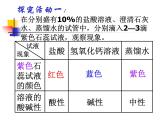 沪教版（上海）化学 九年级上册 3.3 溶液的酸碱性 课件（20张ppt）