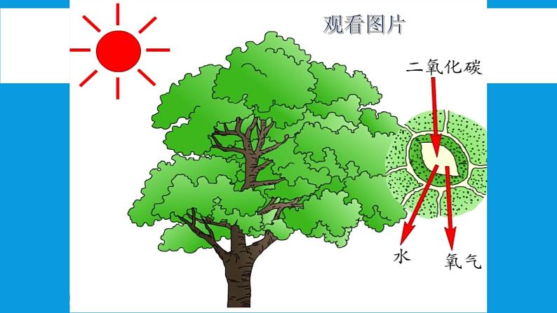 人教版九年级化学（上）第二单元《探究实验室制取氧气》教学课件第2页