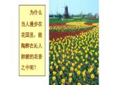 人教版九年级化学（上）第三单元《分子和原子》教学课件