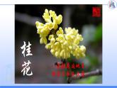 人教版九年级化学（上）第三单元《分子和原子》课件
