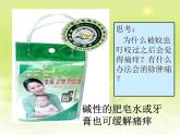 九年级化学人教版下册第十单元 课题2 酸和碱的中和反应  课件