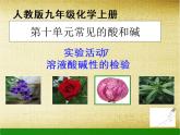 九年级化学人教版下册第十单元 实验活动7：溶液酸碱性的检验 课件