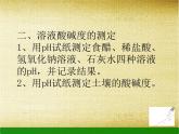 九年级化学人教版下册第十单元 实验活动7：溶液酸碱性的检验 课件