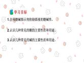 人教版九年级化学 下册 第十单元 课题1 常见的酸和碱（共49张PPT）