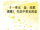 九年级化学人教版下册第十一单元 课题1 生活中常见的盐  课件