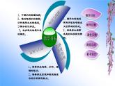 人教版九年级化学（上）第四单元《水的组成》课件