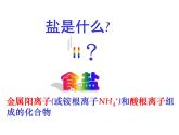 人教版九年级化学下册：第十一单元 课题1 生活中常见的盐-课件