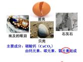 3.3 元素（第1課時(shí)）課件-人教版化學(xué)九年級(jí)上冊(cè)同步課件(含視頻素材)