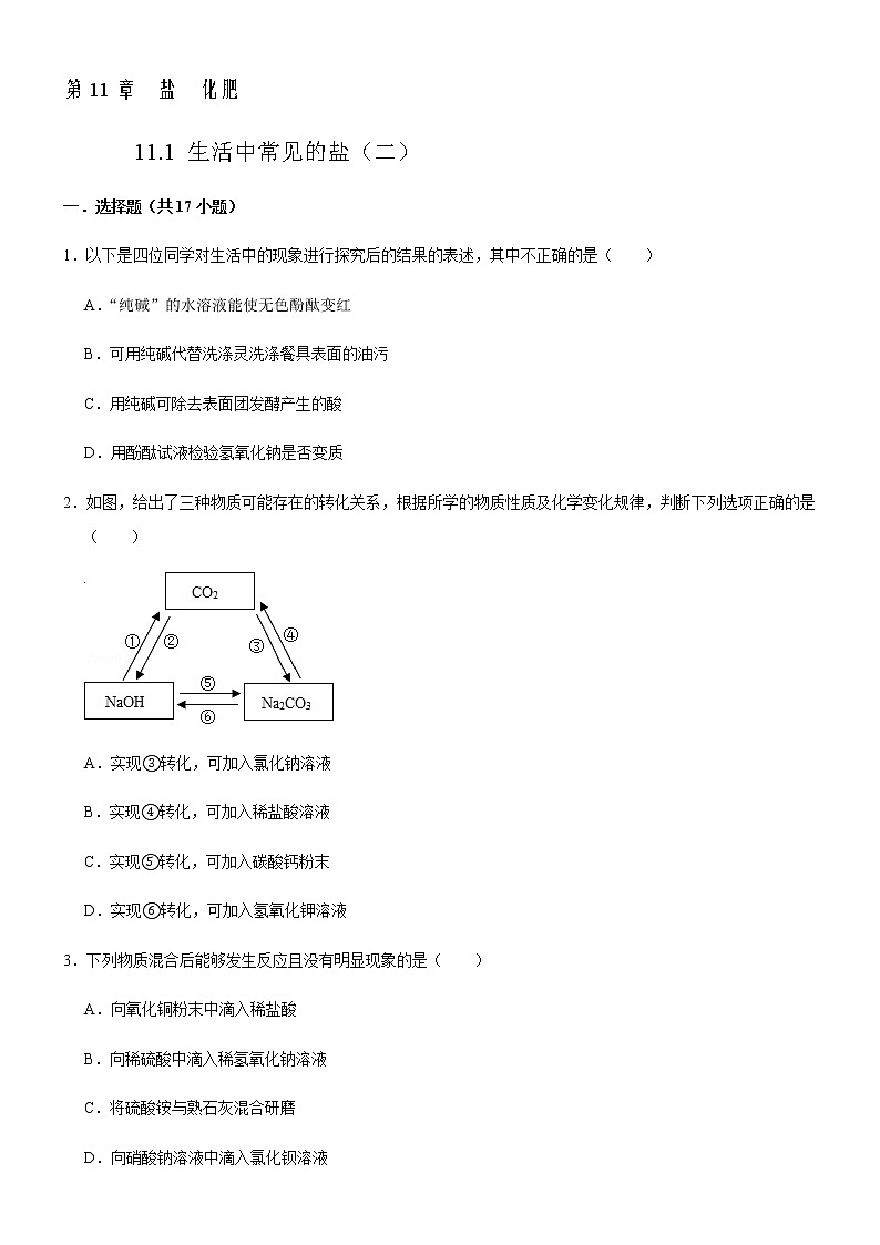 11.1 生活中常见的盐（第2课时）-人教版化学九年级下册同步作业 试卷练习01