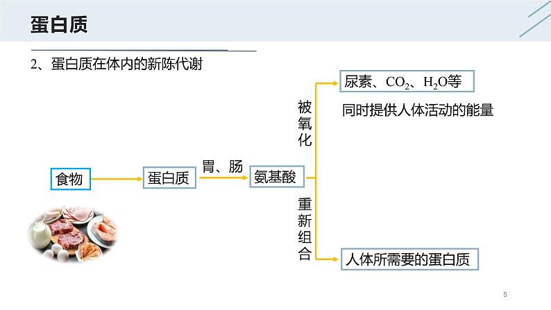 12.1 人类重要的营养物质-人教版化学九年级下册同步优质课件（含视频素材）05