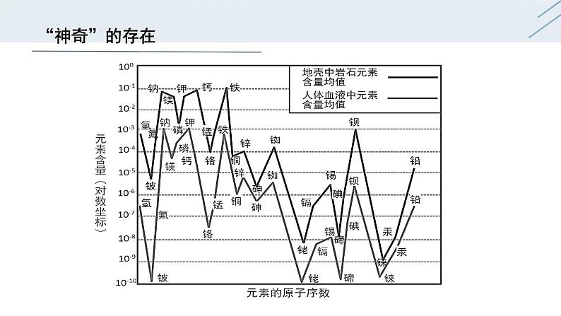 12.2 化学元素与人体健康-人教版化学九年级下册同步优质课件（含视频素材）第7页