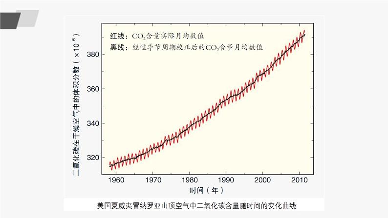 鲁教版化学九上6.3《大自然中的二氧化碳》授课课件+作业课件+视频素材05