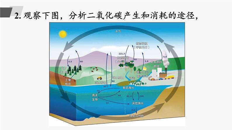 鲁教版化学九上6.3《大自然中的二氧化碳》授课课件+作业课件+视频素材07