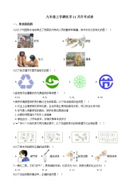 2020-2021年云南省保山市九年级上学期化学11月月考试卷