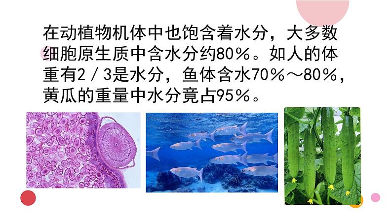 2020年化学九年级上册 第四单元 课题1 爱护水资源  课件（人教版）07