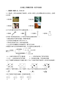 2020-2021年安徽合肥名校九年级上学期化学第一次月考试卷