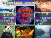 4.3 水的组成 课时1 -人教版九年级上册化学课件(共24张PPT)