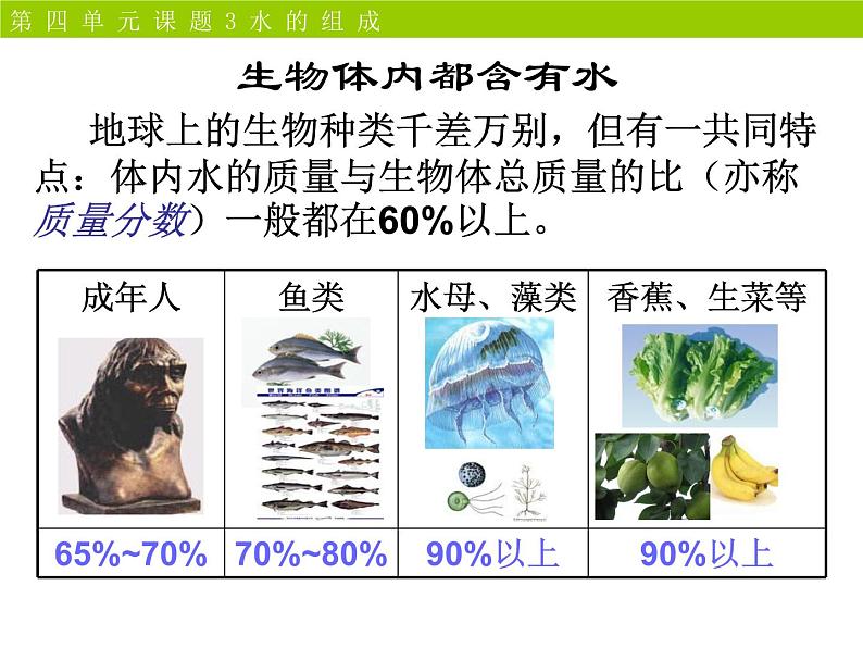 4.3 水的组成 课时1 -人教版九年级上册化学课件(共24张PPT)03