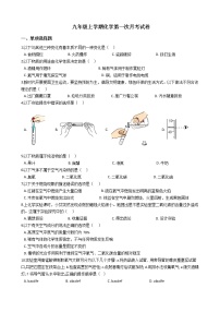 2020-2021年河南省洛阳市九年级上学期化学第一次月考试卷