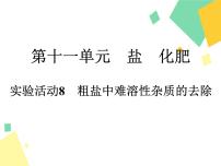 人教版九年级下册实验活动8 粗盐中难溶性杂质的去除课文内容ppt课件