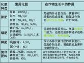 九年级化学下册第11单元 课题2《化学肥料》课件6 人教版