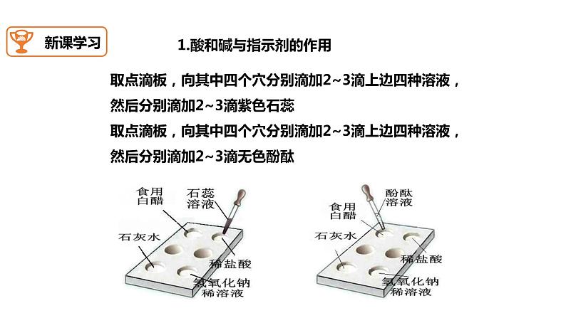 九年级化学下册第10单元 实验活动6《实验活动6 酸、碱的化学性质》精品课件1 人教版06