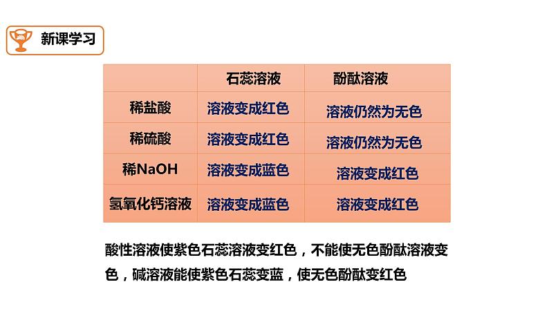 九年级化学下册第10单元 实验活动6《实验活动6 酸、碱的化学性质》精品课件1 人教版07