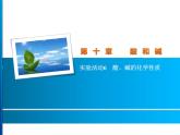 九年级化学下册第10单元 实验活动6《实验活动6 酸、碱的化学性质》课件2 人教版