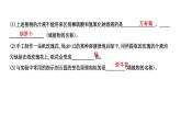 九年级化学下册第10单元 实验活动7《实验活动7 溶液酸碱性的检验》课件2 人教版