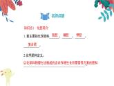 九年级化学下册第11单元 课题2《化学肥料》复习课件 人教版