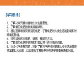 九年级化学下册第11单元 课题2《化学肥料》讲授式课件 人教版