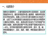 九年级化学下册第11单元 课题2《化学肥料》讲授式课件 人教版