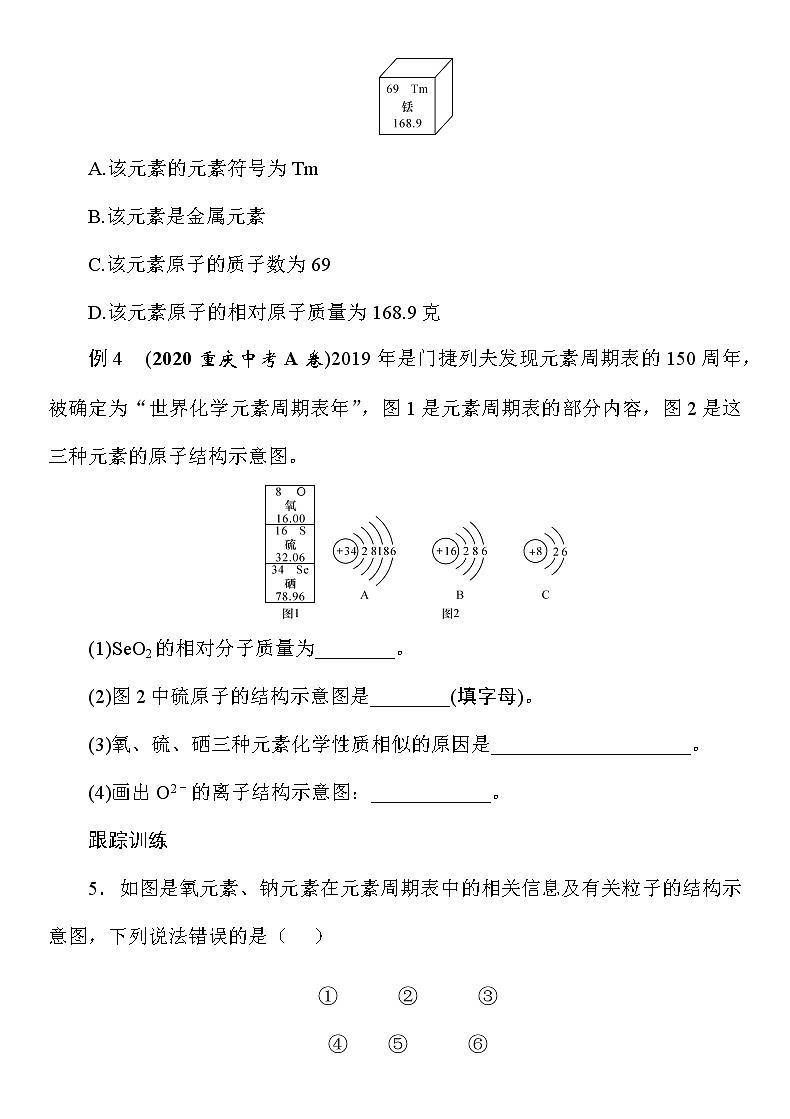 九年级化学中考重点题型训练《化学用语》（Word版附答案）第3页