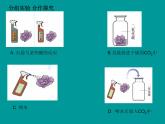 科粤版初中化学九年级上册5.3二氧化碳的性质与制法课件