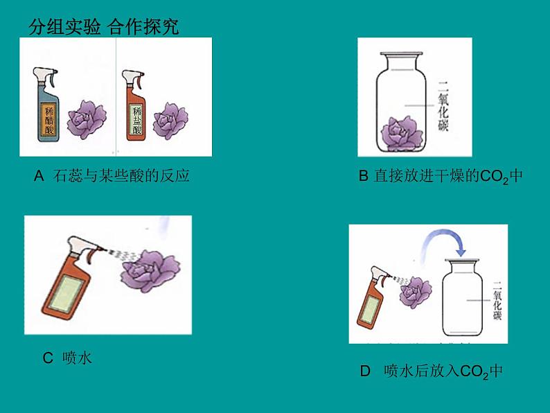 科粤版初中化学九年级上册5.3二氧化碳的性质与制法课件第5页