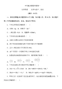 九年级化学中考重点题型突破卷《化学用语　化学与生产、生活》