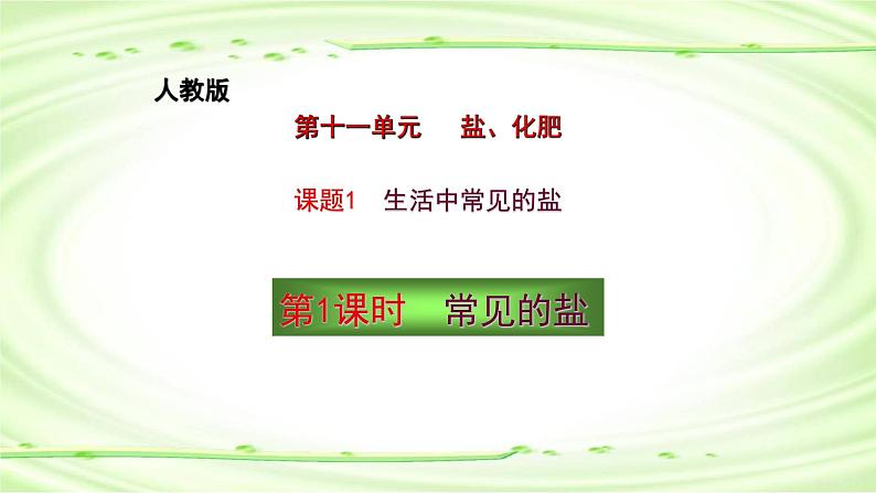 人教版九年级化学下册 11.1生活中常见的盐第1课时认识常见的盐课件PPT第3页